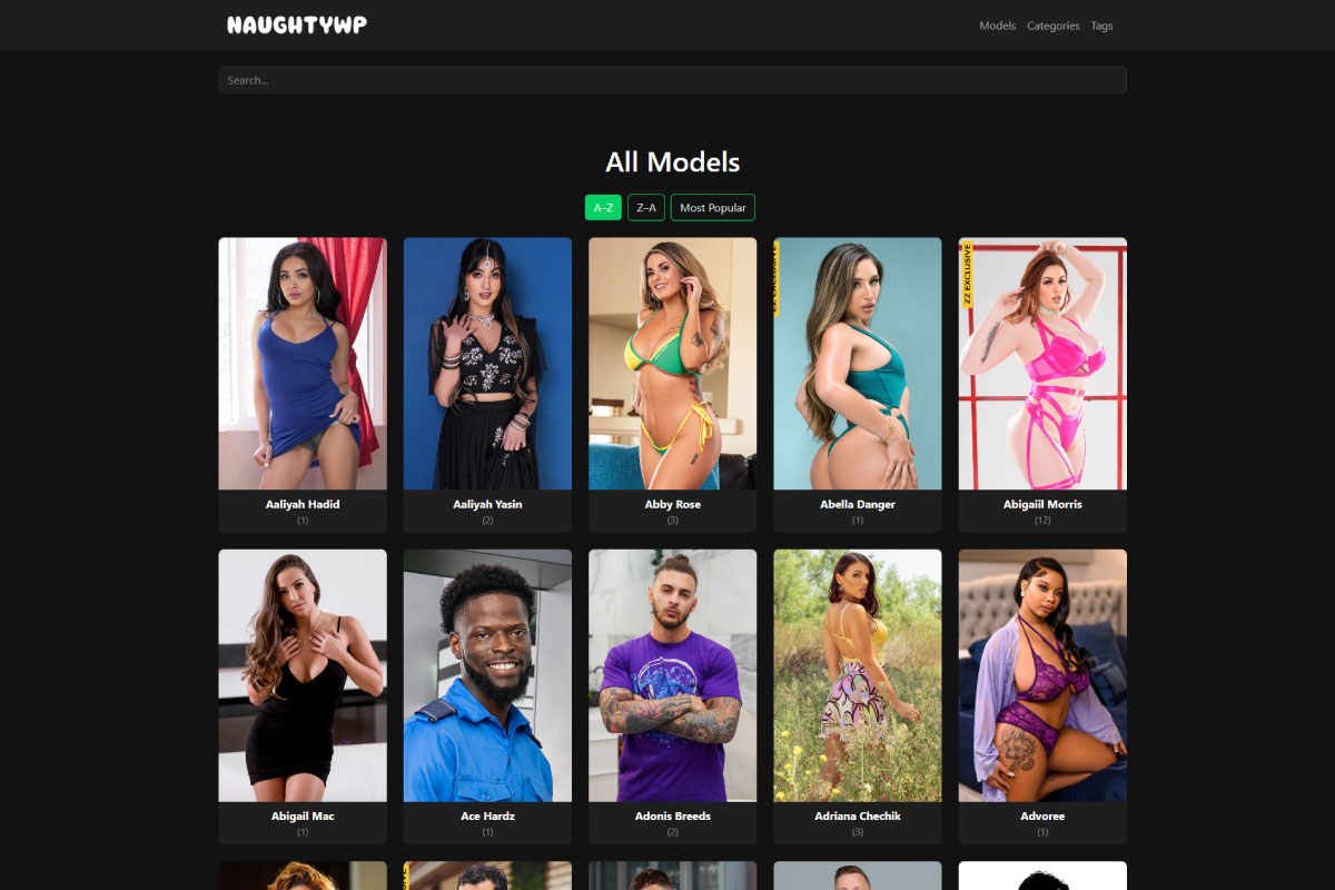 NaughtyWP Home Page